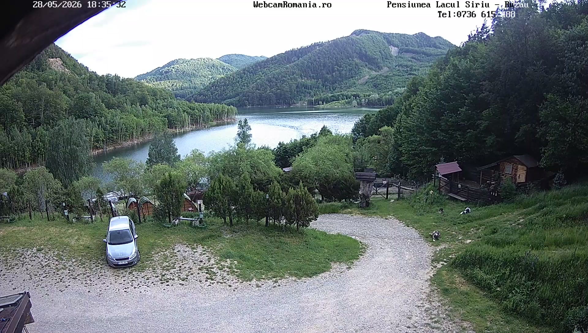 Live Lacul Siriu